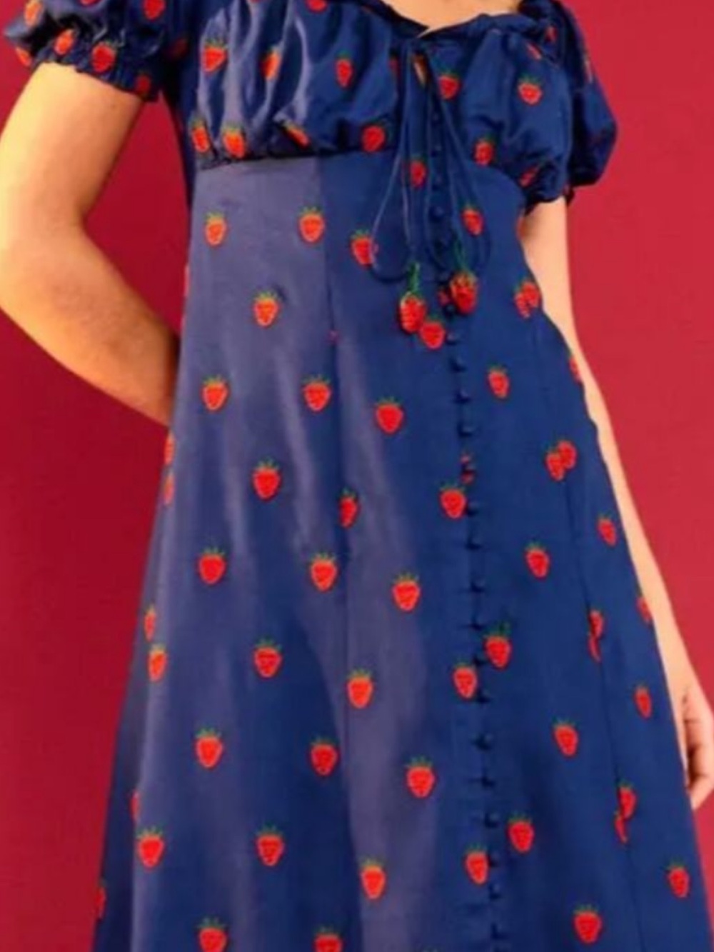 Farm Rio Strawberry Cross Stitched Dress NWT XS